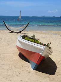 Vacations Mauritius Summer Beach Picture