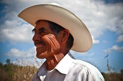 People Portrait Laughter Field Picture