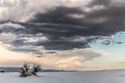 Sand Landscape Scenic White Picture