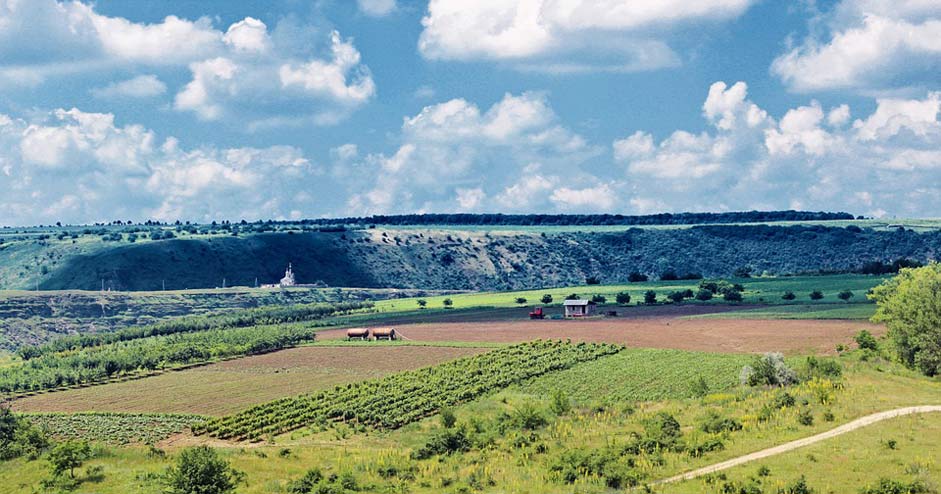 Landscape Field Orhei Moldova