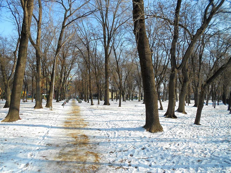 Snow Winter Park Moldova