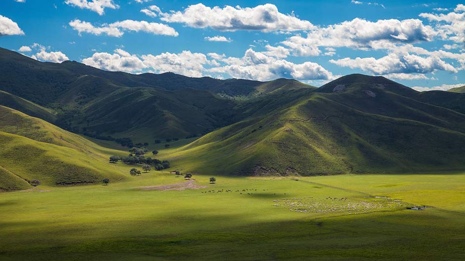 Prairie Horqin Hulunbeir Inner-Mongolia