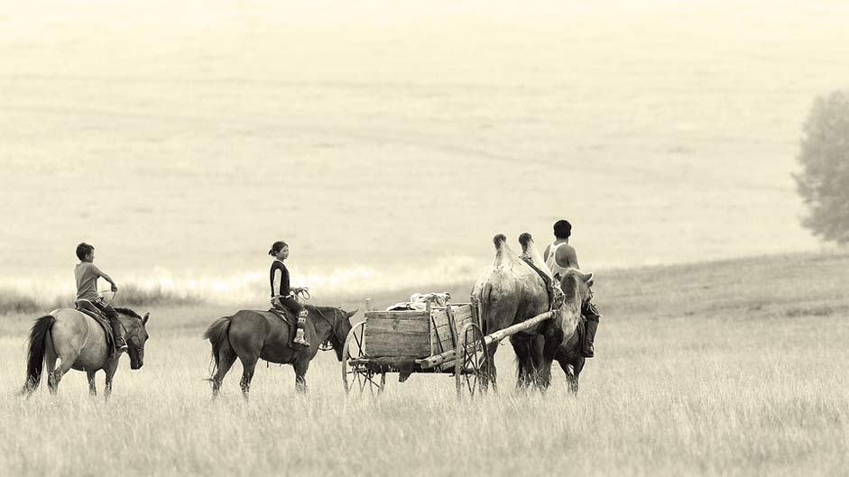 Camel-Wagon Bayan-Ovoo Mongolia Landscape