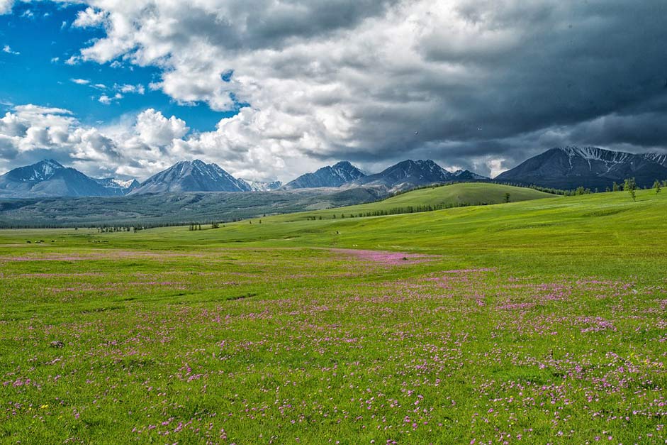   The-Mongolian-And-Russian-Border-Mountains Landscape