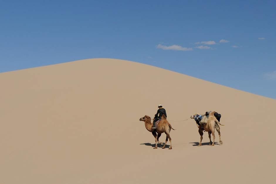 Sand-Dune Gobi Desert Mongolia