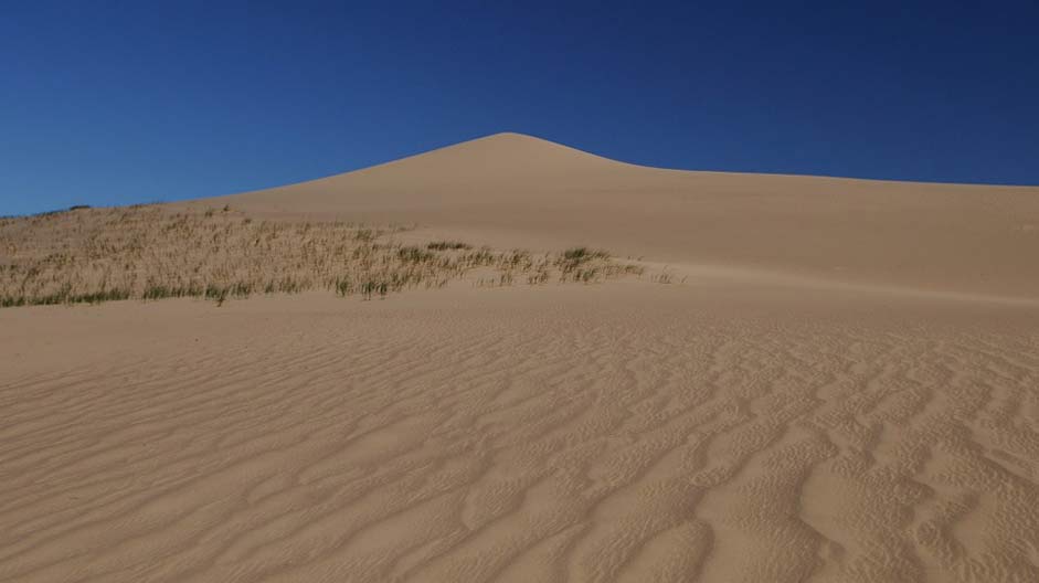 Dune Structure Desert Mongolia