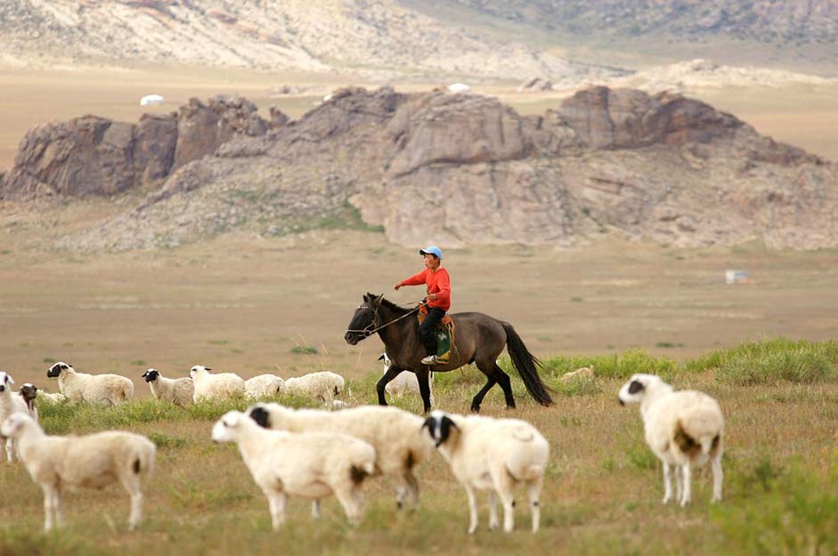 Boy Rider Horse Mongolia