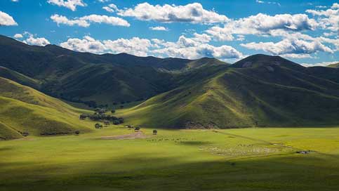 Inner-Mongolia Prairie Horqin Hulunbeir Picture
