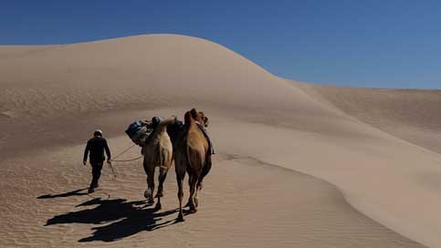 Mongolia Desert Dune Nomad Picture