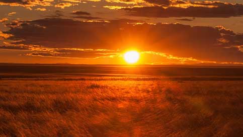 Mongolia Backlighting Lighting Sunset Picture