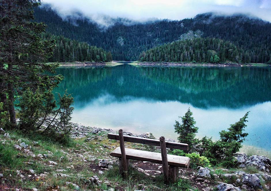 Montenegro Forest Lake Nature