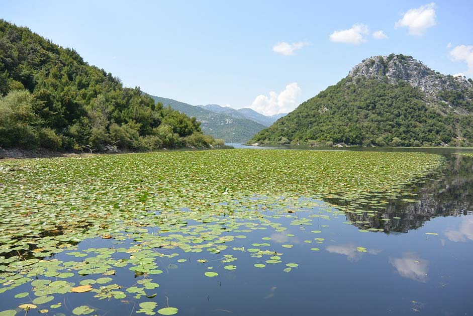 Cruise Journey Montenegro Skadar-Lake