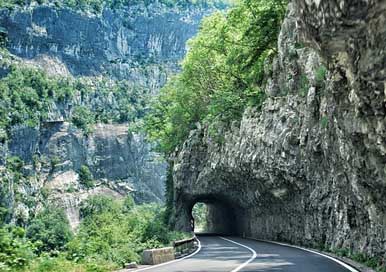 Nature Landscape Tree Travel Picture