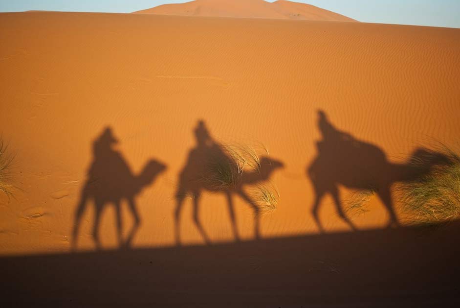 Morocco Desert Magi Camels