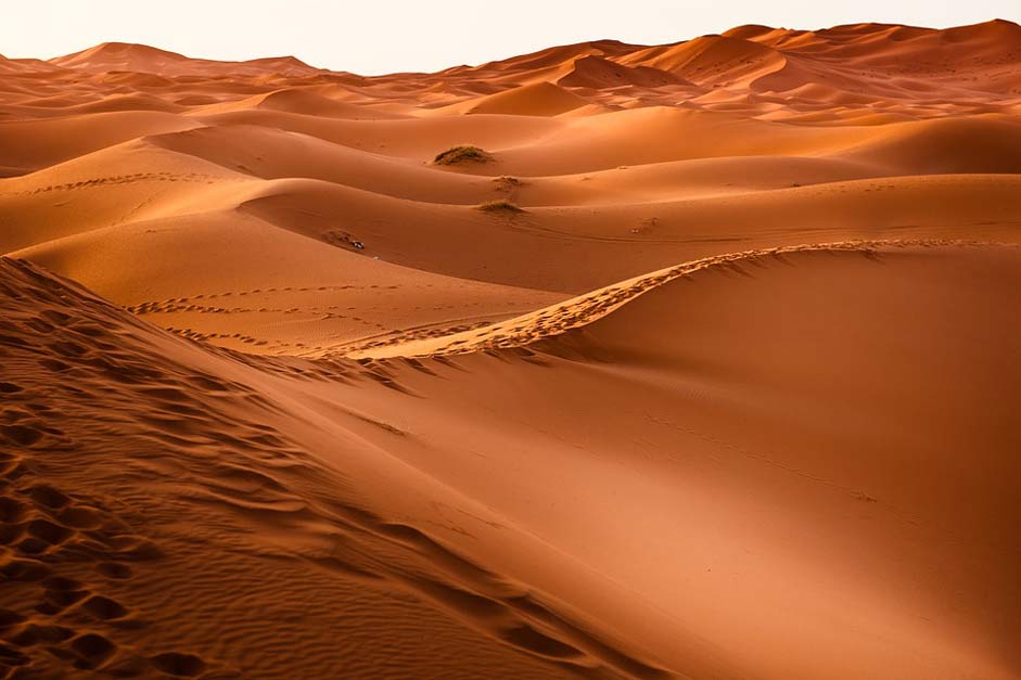 Dry Sand-Dune Morocco Desert