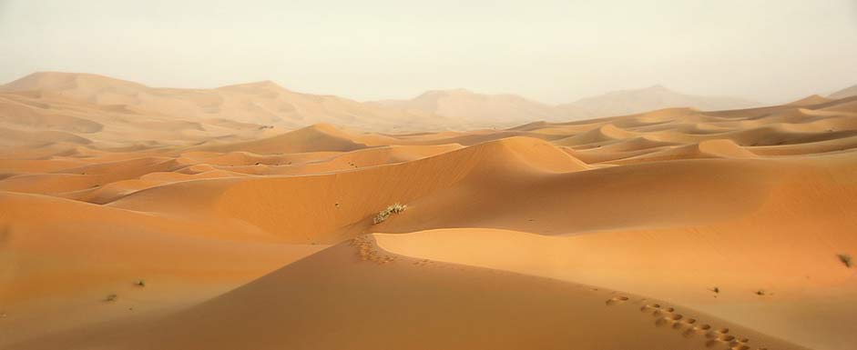 Sand Dunes Morocco Desert