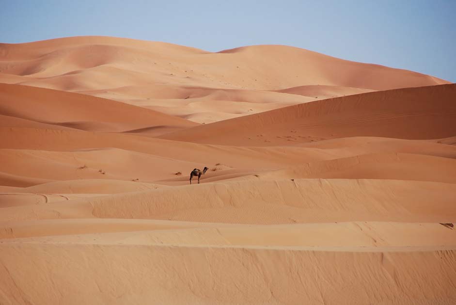 Morocco Dunes Sand Desert