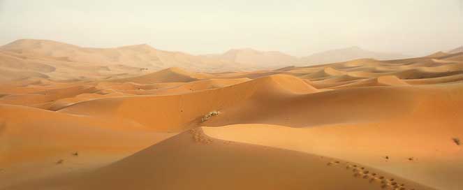 Desert Sand Dunes Morocco Picture