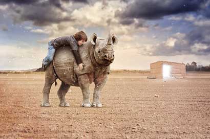 Rhino Holiday Desert Nature Picture