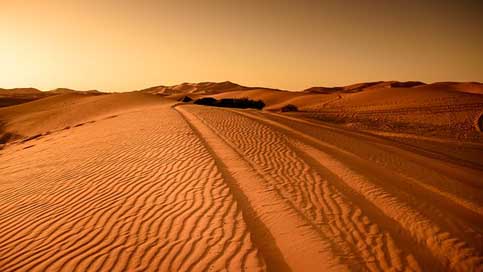 Desert Dry Sand-Dune Morocco Picture