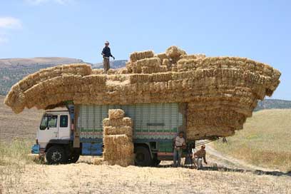 Morocco Work Hay Truck Picture