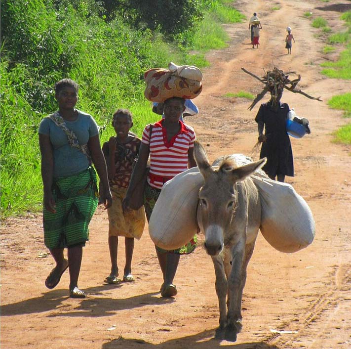 Outside Nature Women Mozambique