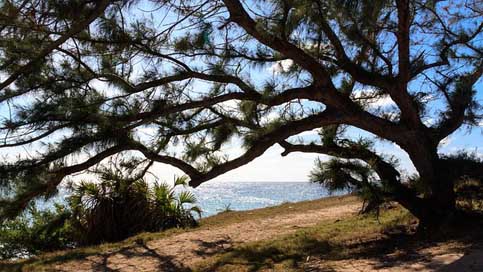 Silhouette Sand Coastal Wood Picture