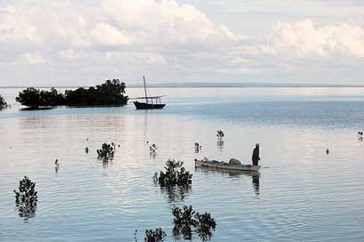 Mozambique  Fishing Ibo-Island Picture