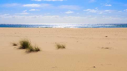 Beach Water-Edge Sky Sea Picture