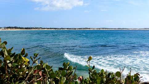 Beach Water Sky Sea Picture