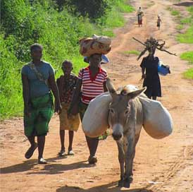 Mozambique Outside Nature Women Picture