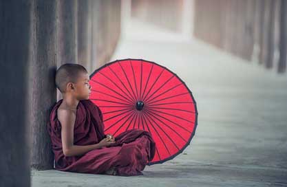 Buddhism Umbrella Monastery Monk Picture