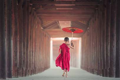 Umbrella Monastery Monk Buddhism Picture