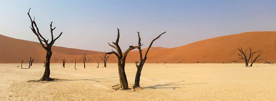 Namib-Desert Landscape Namibia Africa