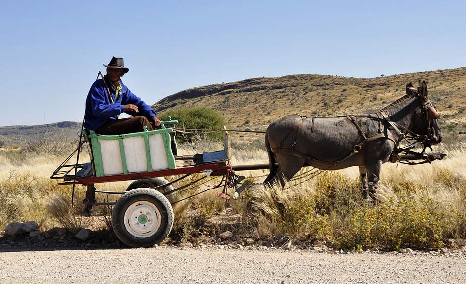 Wagon Bauer Namibia Africa