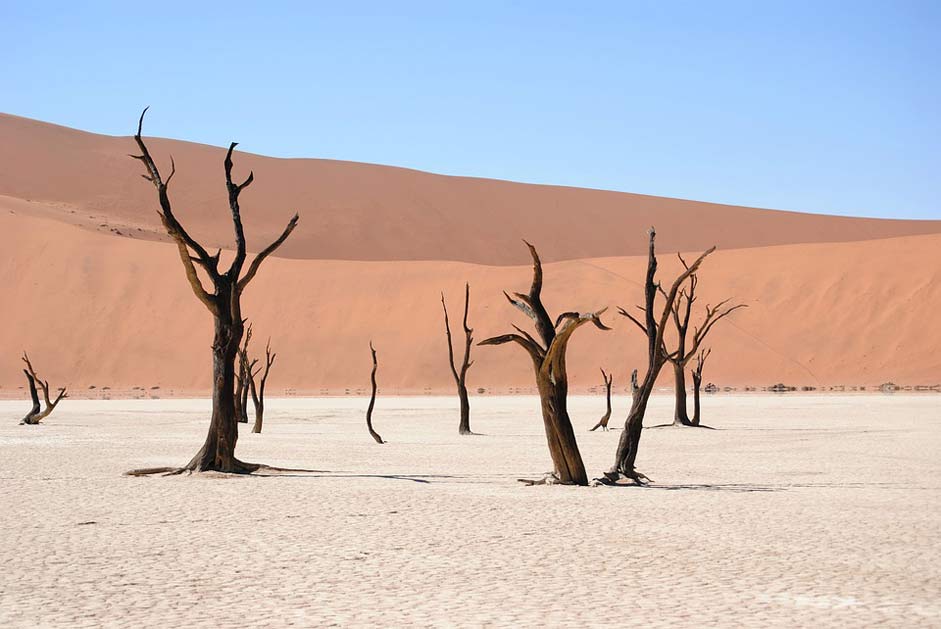 Dunes Desert Namibia Dead-Vlei