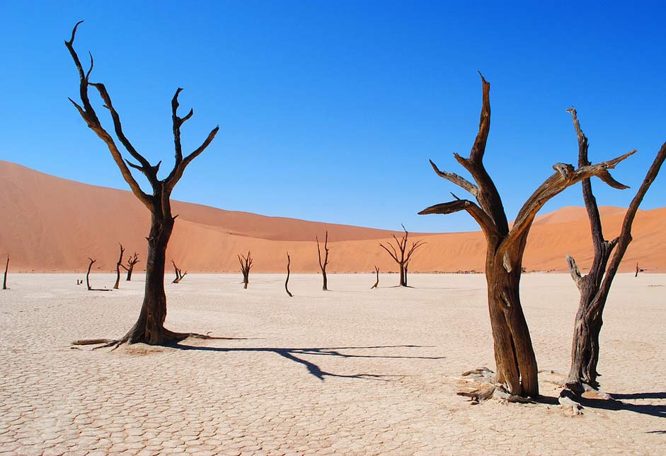 Desert Africa Namibia Deadvlei