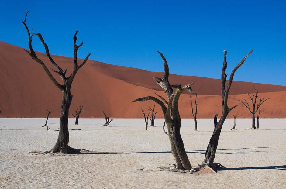 Dry Desert Namibia Deadvlei