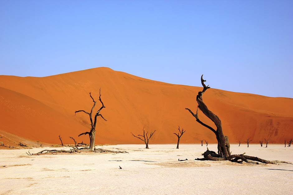 Dry Desert Namibia Deadvly