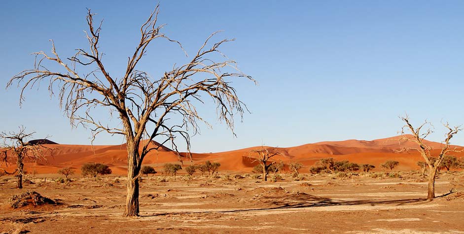 Africa Dunes Namibia Desert