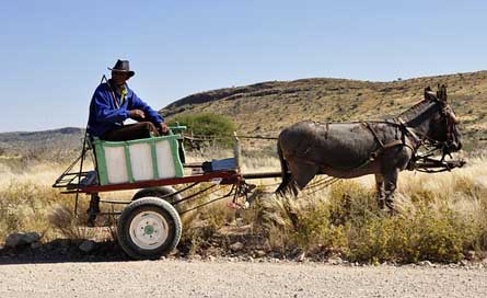 Africa Wagon Bauer Namibia Picture