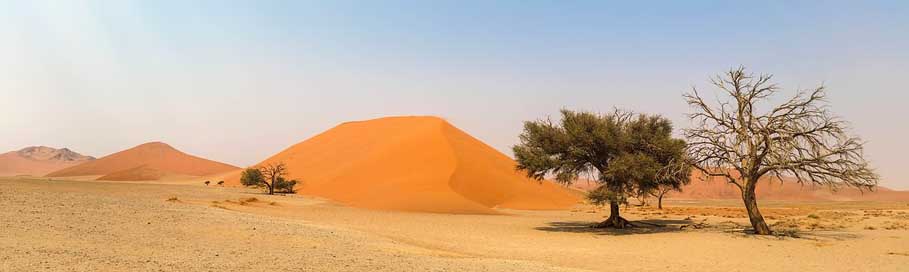 Africa Namib-Desert Landscape Namibia Picture