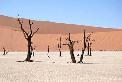 Dead-Vlei Dunes Desert Namibia Picture