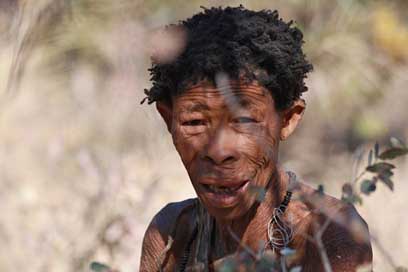 Africans Black Indigenous Bushman Picture