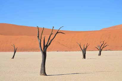 Sossusvlei Desert-Landscape Namibia Africa Picture