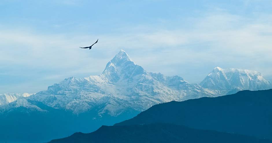 Bird Foggy Sky Mountain