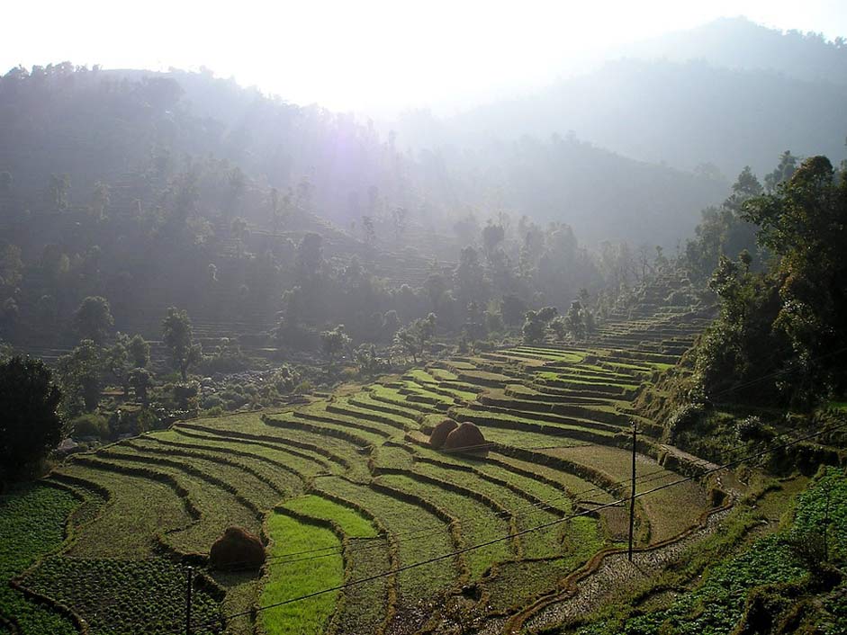 Cultivation Terraces Rice-Terraces Nepal