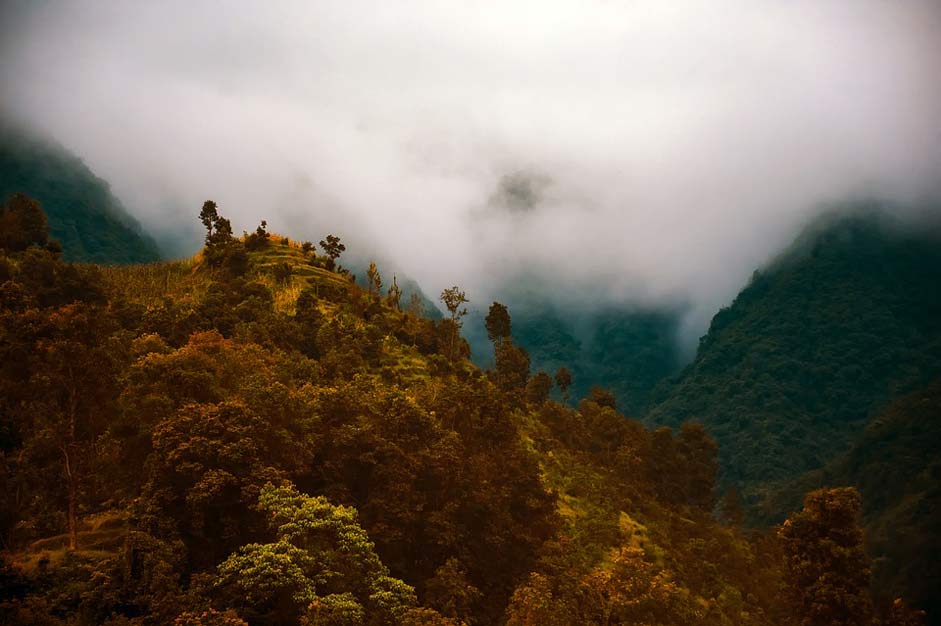 Fog Morning Sunrise Nepal