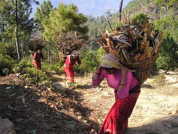 Nepal Firewood Baskets Carrier Picture
