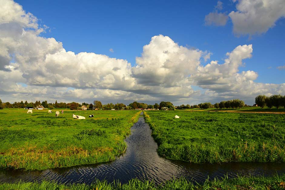 Polder Field Meadow Ditch